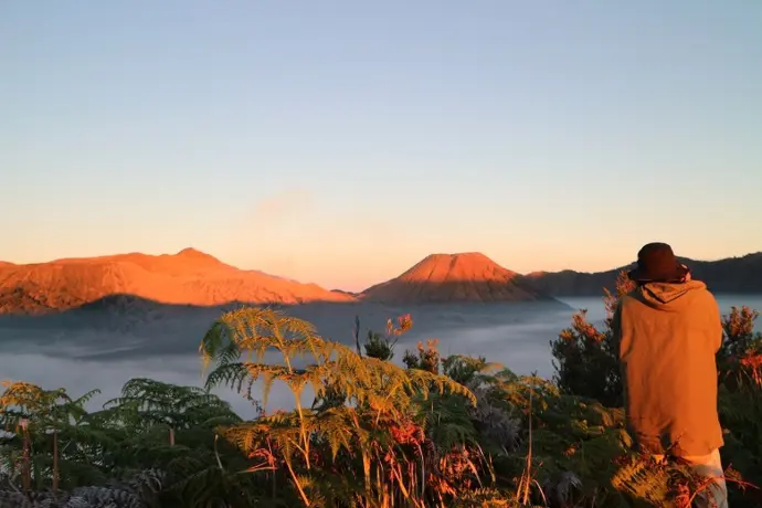 bukit mentigen bromo