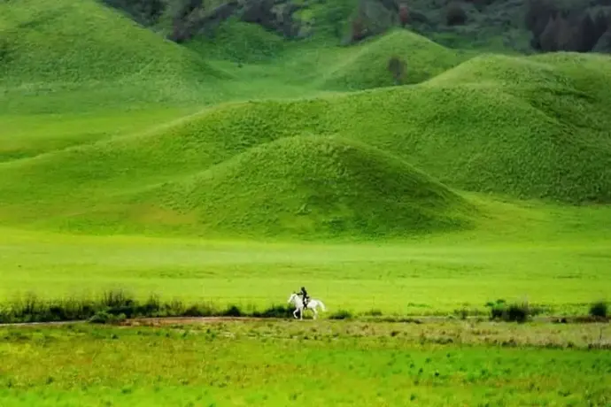 ke savana bromo dengan trail